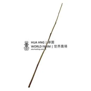 Bamboo Stick (4 feet, 5 – 10mmØ)