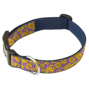 Beltane Field - Dog Collar