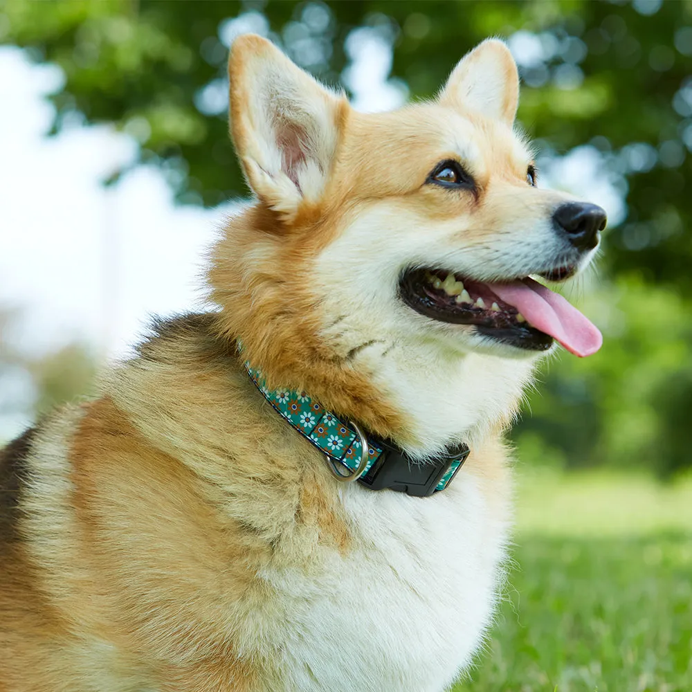 Holiday Tee - Dog Collar