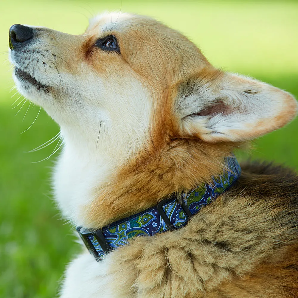 Holiday Tee - Dog Collar