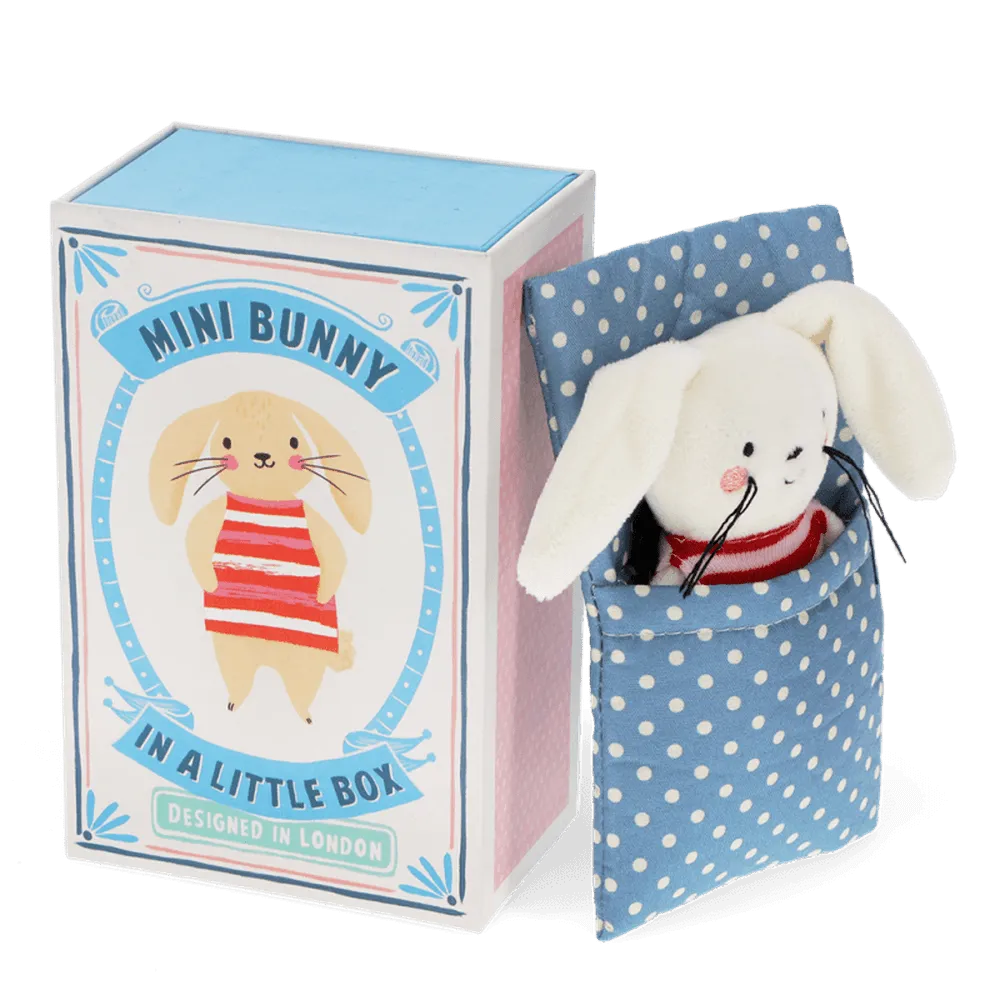 Mini Bunny in a Box