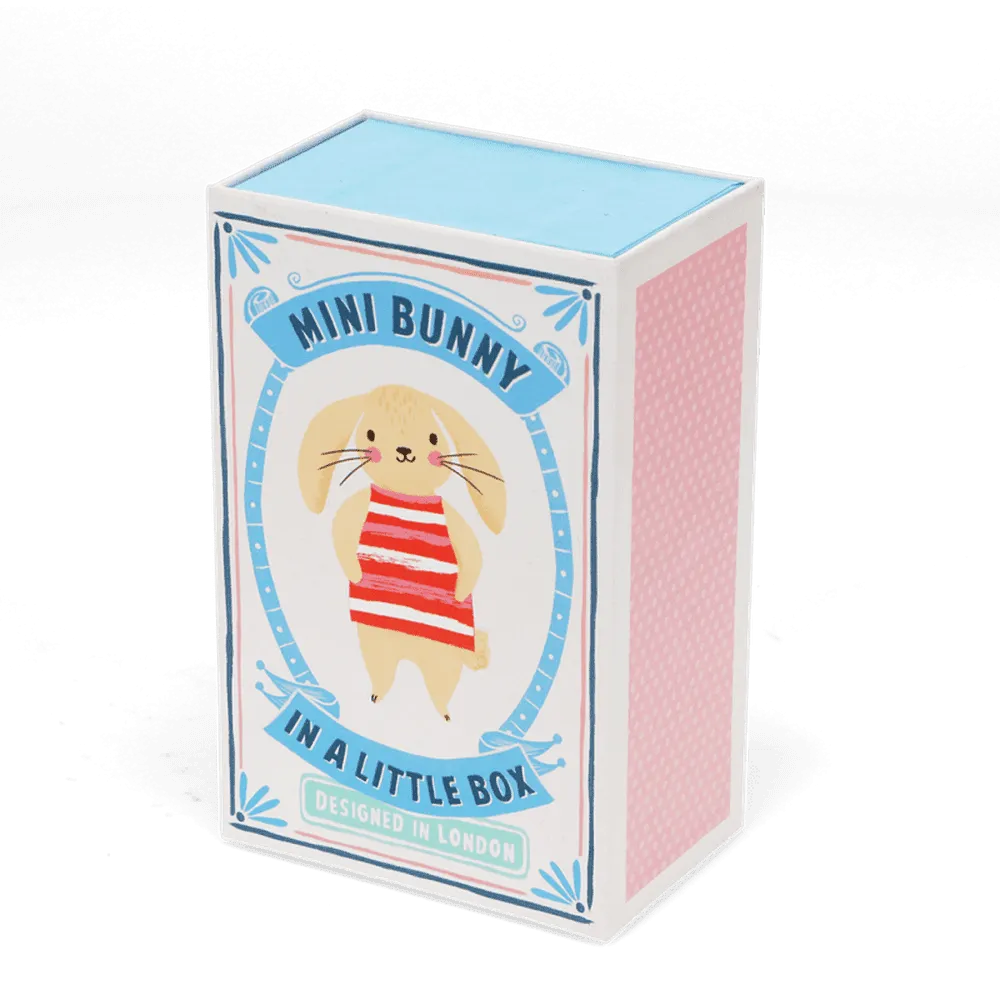 Mini Bunny in a Box