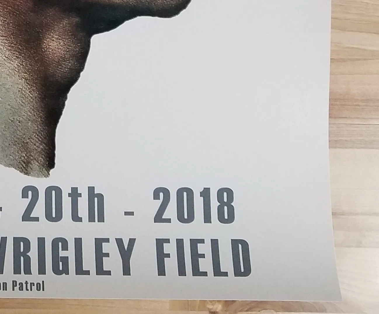 Pearl Jam Wrigley Field, Chicago 2018 Matt Cunningham