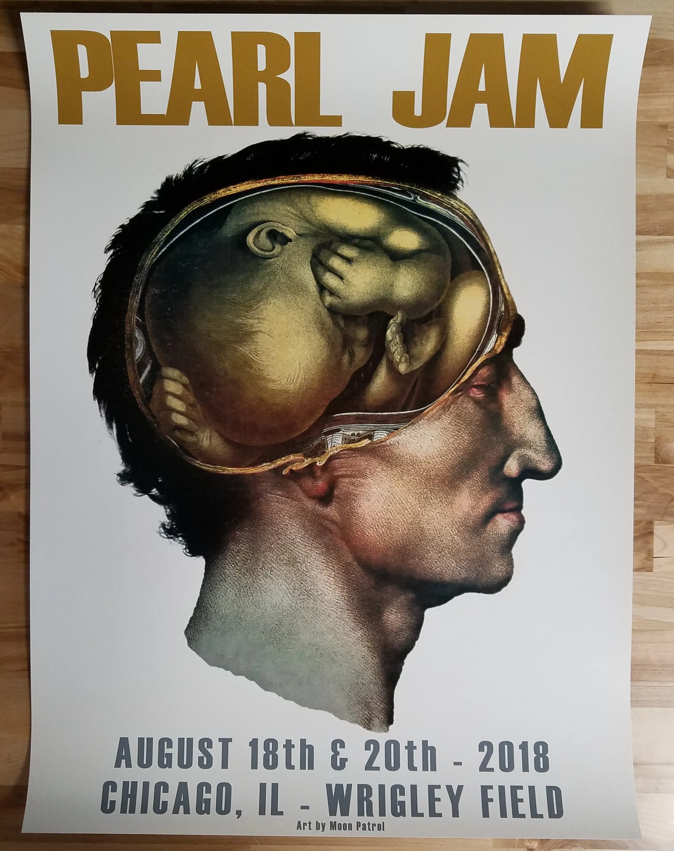 Pearl Jam Wrigley Field, Chicago 2018 Matt Cunningham