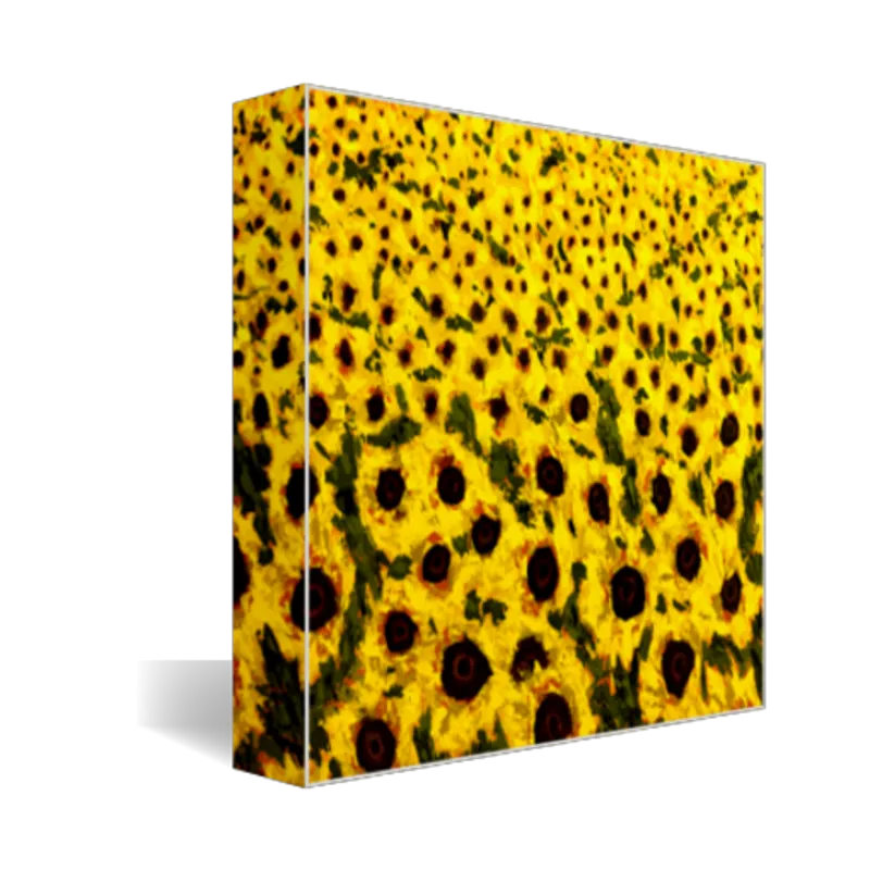 "Sunflower Field" Landscape Art Print