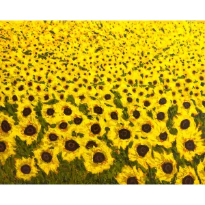 "Sunflower Field" Landscape Art Print
