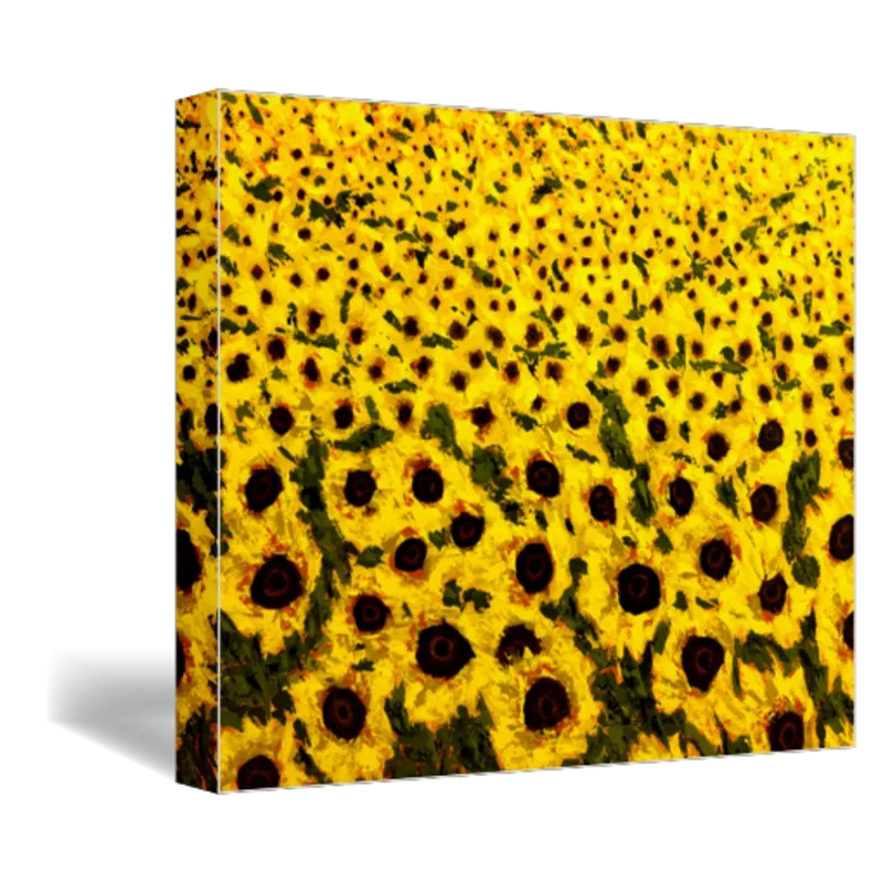 "Sunflower Field" Landscape Art Print