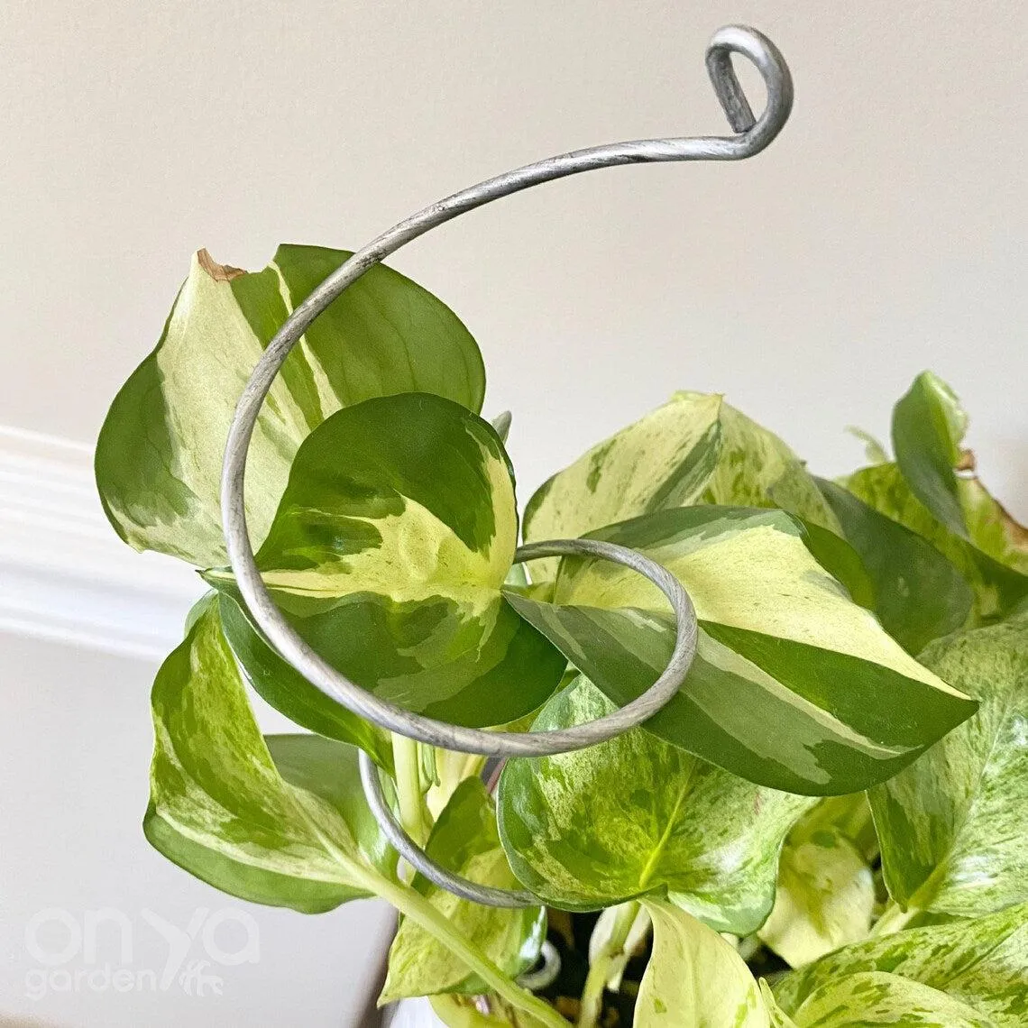 Steel Twirl and Whirl Plant Sticks, Decorative Plant Stakes