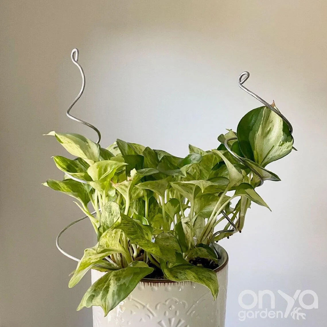Steel Twirl and Whirl Plant Sticks, Decorative Plant Stakes
