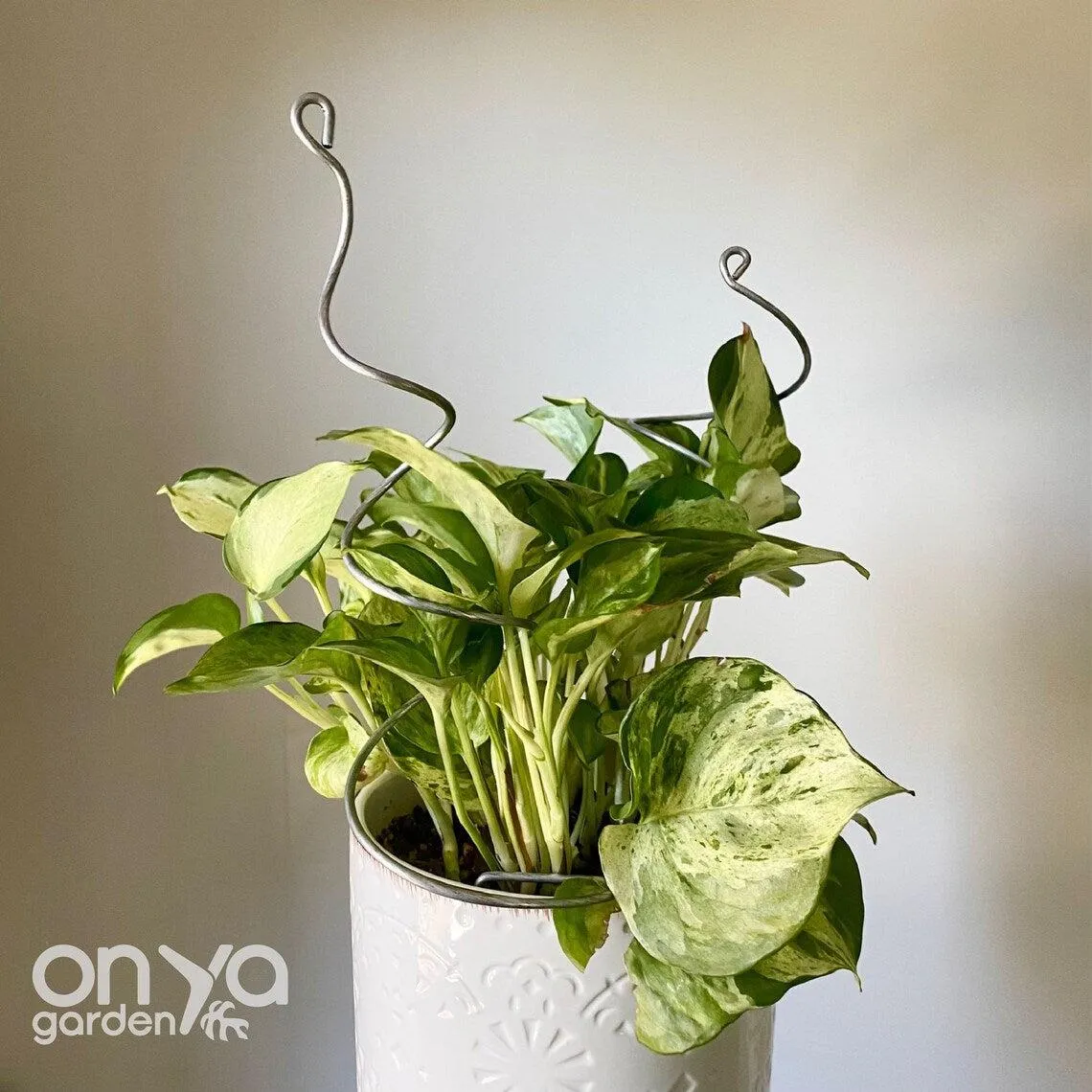 Steel Twirl and Whirl Plant Sticks, Decorative Plant Stakes