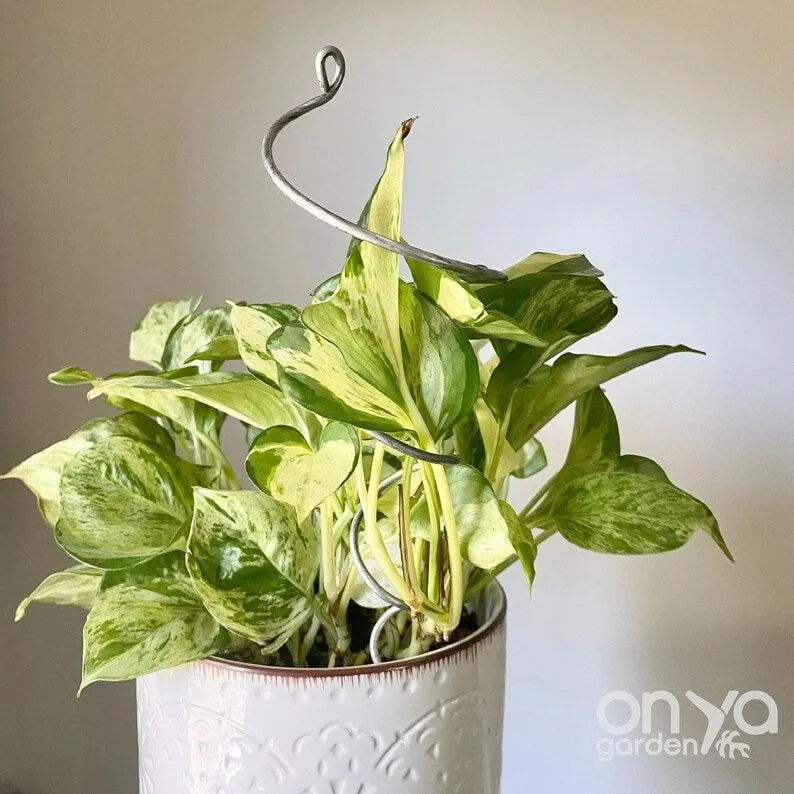 Steel Twirl and Whirl Plant Sticks, Decorative Plant Stakes