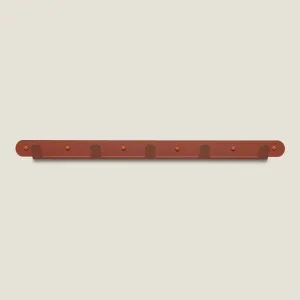 Wall Mounted Multi Hook